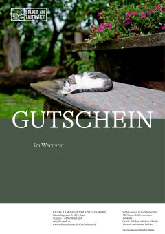 Motiv schlafende Katze