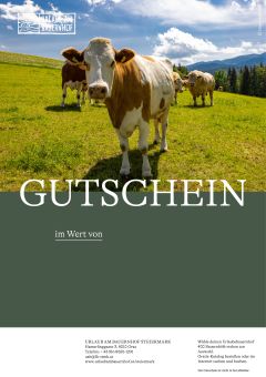 Motiv Kühe auf der Weide